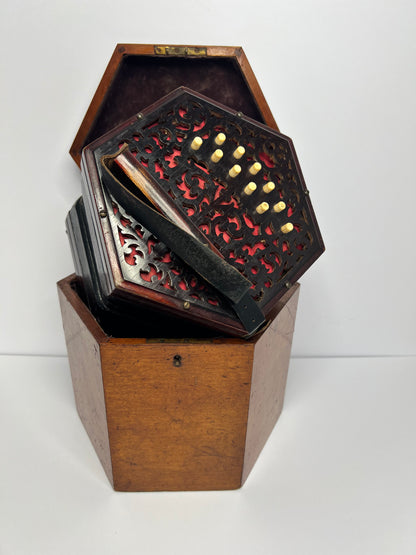 Antique CONCERTINA Chestnut Wood
