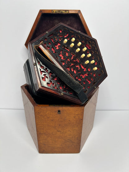 Antique CONCERTINA Chestnut Wood